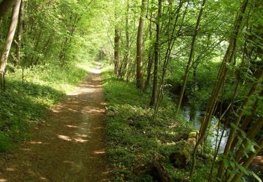 Randonnée Marche Perdreauville - La forêt de Rosny - Apremont - Photo
