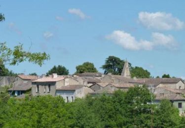 Tocht Stappen Caumont - Randonnée à Castelmoron-d'Albret par Caumont-Est - Photo