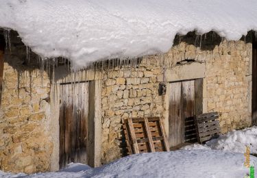 Randonnée Raquettes à neige Villebois - Le Crêt de Pont 1059m, depuis Bouis - Photo