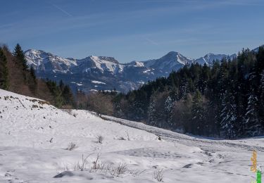 Randonnée Raquettes à neige Arith - La Montagne de Bange 1434m, depuis Montagny - Photo