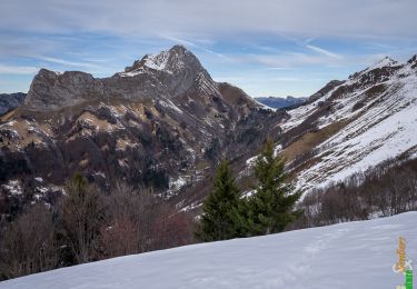Tour Schneeschuhwandern Jarsy - La Pointe de la Limace 1836m, depuis le Coudray - Photo