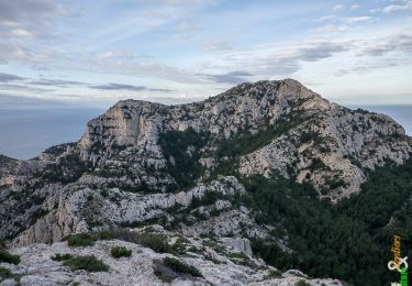 Trail Walking Marseille - Le Sommet de Marseilleveyre 433m, depuis la Cayolle - Photo