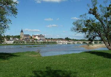 Tocht Fiets Saint-Nazaire - La Loire à Vélo de St Nazaire à Cosne sur Loire - Photo