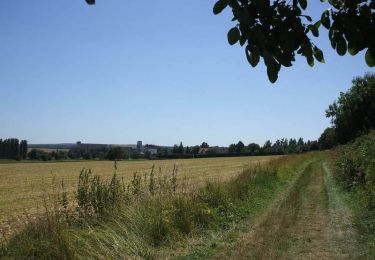 Trail Walking Entrains-sur-Nohain - Circuit Histoire - Entrains sur Nohain - Photo