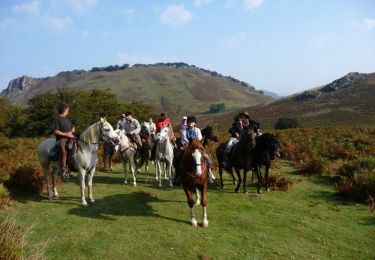 Trail Equestrian Iholdy - Sentier des Contrebandiers - de Iholdy à Lasse au Pays Basque - Photo