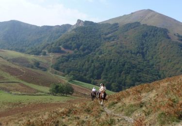 Tocht Paard Iholdy - Sentier des Contrebandiers - de Iholdy à St Martin d Arrossa au Pays Basque  - Photo