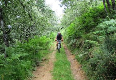 Trail Mountain bike Ostabat-Asme - Le Sentier des Contrebandiers en VTT - De Ostabat à St Jean Pied de Port  - Photo