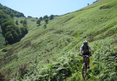 Tocht Mountainbike Urepel - Le Sentier des Contrebandiers en VTT - De Urepel à St Etienne de Baïgorry - Photo