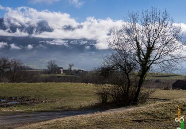 Randonnée Marche Loisieux - Autour du Bois de Glaize, Mont Tournier - Photo