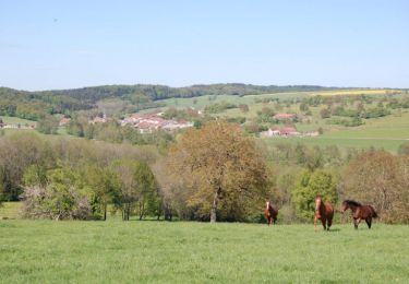 Tour Pferd Isches - Circuit équestre des Marches de Lorraine (Grande boucle). - Photo