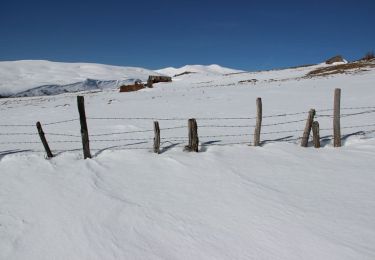 Excursión Raquetas de nieve Paulhac - Le Puy de la Jambe et le bourg de Prat de Bouc - Photo