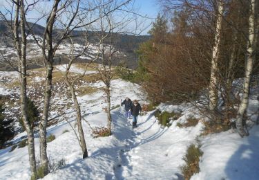 Tour Schneeschuhwandern Büssing - La boucle Sud de Ste Barbe - Bussang - Photo