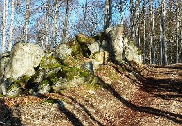 Tour Wandern Saint-Nicolas-des-Biefs - Ronde boisée des rochers et des ruisseaux - La Verrerie - Photo