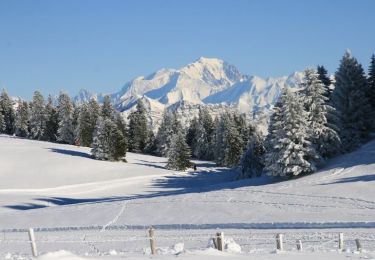 Percorso Racchette da neve Viuz-la-Chiésaz - Raquettes au Semnoz - Leschaux - Photo