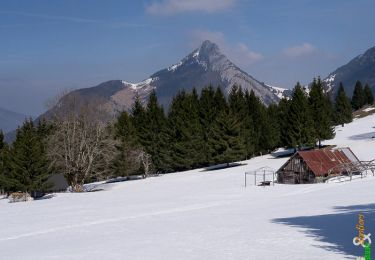 Randonnée Raquettes à neige Bellecombe-en-Bauges - Crête du Mont Julioz 1498m, depuis le Mont Devant - Photo