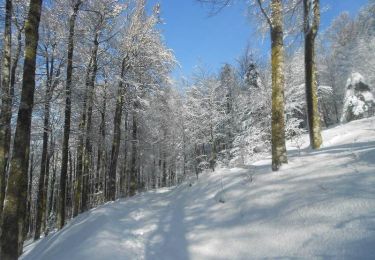 Tour Schneeschuhwandern Büssing - Le Drumont par la Hutte - Bussang  - Photo