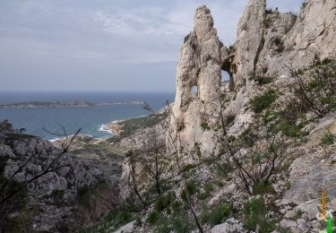 Tocht Stappen Marseille - Traversée des Arches des Cailles, depuis Callelongue - Photo