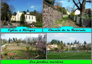 Tocht Stappen Riorges - Le Circuit des Ecureuils revisité - Riorges (Château de Beaulieu) - Photo