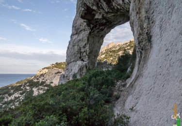 Trail Walking Marseille - La Roche Percée de la Mounine depuis Callelongue - Photo