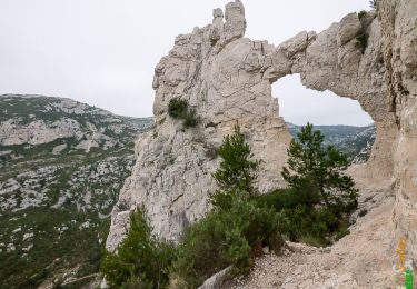 Trail Walking Marseille - La Roche Percée de Morgiou, depuis Luminy - Photo