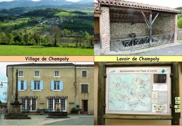 Tour Wandern Champoly - Le Bois des Côtes, les Gorges de Corbillon et le Château d'Urfé - Champoly - Photo