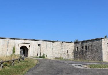 Tocht Lopen Besançon - Trail des Forts de Besançon - Photo