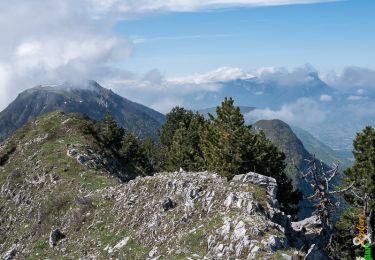 Randonnée Marche Thoiry - Traversée du Mont de la Buffaz 1660m, depuis le Fournet - Photo