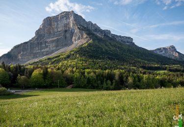Tocht Stappen Apremont - Le Mont Joigny, 1553m - Apremont - Photo