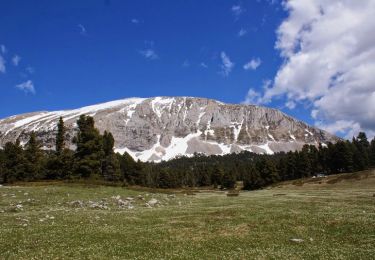 Tour Wandern Saint-Andéol - Les Hauts Plateaux du Vercors en âne - Etape 2 - Photo