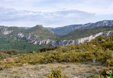 Excursión Senderismo Caussols - Traversée du Gros Pounch 1270 m, depuis le Col de la Sine - Photo