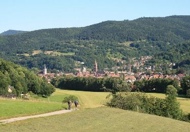Tour Wandern Stoßweier - De Munster aux 3 Fours (Retour) - Stosswihr - Photo