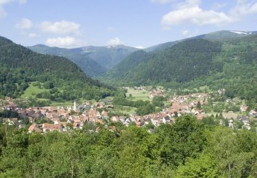 Tour Wandern Xonrupt-Longemer - D'Orbey à Metzeral par le Hirschsteine et les sommets - Etape 2 - Photo