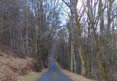 Trail Walking Voutezac - Les coteaux de Vertougit - Voutezac - Photo