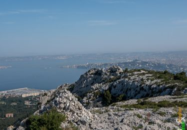 Randonnée Marche Marseille - Sommet Ouest de l'Homme Mort 374m, depuis le Boulevard de la Grotte Rolland - Photo