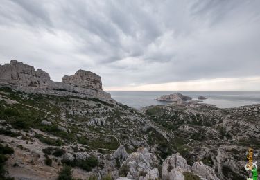 Trail Walking Marseille - Par les cols Saint-Michel et de la Mounine, depuis Callelongue - Photo