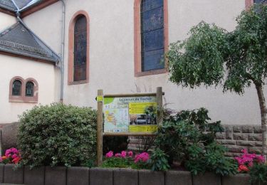 Tour Wandern Dagsburg - Balade au Rocher de dabo - Photo