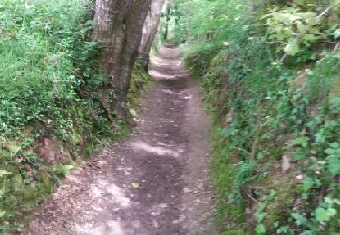 Trail Walking Landéda - GR 34 étape 30 - Photo