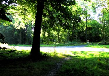 Randonnée Marche Longpont - en forêt de Retz_25_Longpont_MF du Buchet_AR - Photo