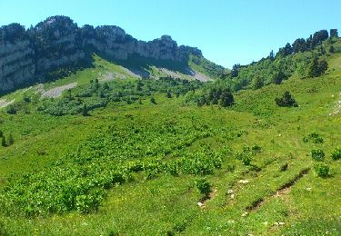 Tour Wandern Saint-Pierre-de-Chartreuse - col d'hurtières-goulet d'hurtières - Photo