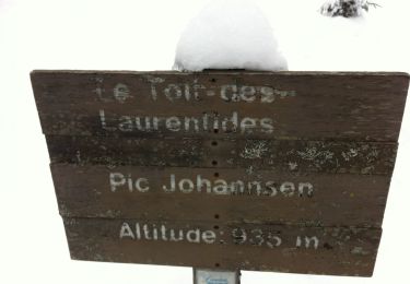 Randonnée Raquettes à neige Mont-Tremblant - Pic Johannsen - Photo