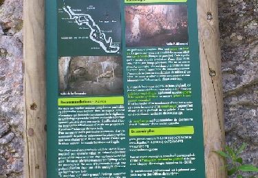 Trail Walking Saint-Agnan-en-Vercors - pas des bouches-darbounouse - Photo