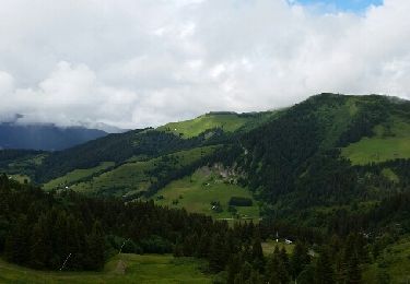 Trail Walking Notre-Dame-de-Bellecombe - Mont rond depuis le Planay - Photo