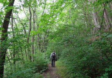Tour Wandern Couvin - Balade au fil des Vallées Couvinoise - Photo