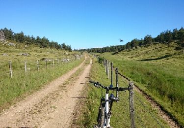 Trail Mountain bike Laubert - Truc de Fortunio - Photo