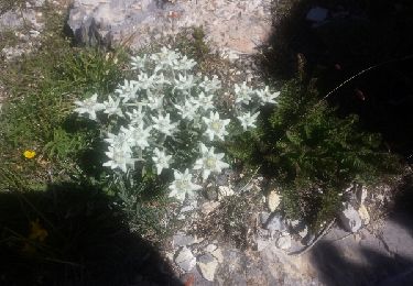 Tocht Andere activiteiten Le Monêtier-les-Bains - roche robert - Photo