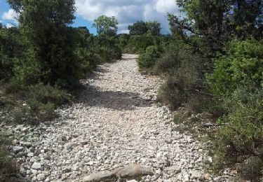 Trail Walking Saint-Martin-d'Ardèche - GR4 Aigueze - Photo