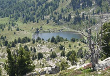 Trail Walking Seyne - Dormillouse, lac noir et tourbières - Photo