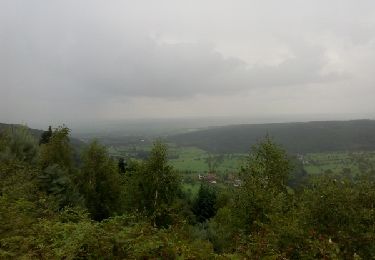 Trail Walking Reinhardsmunster - du billbaum au rocher du geissfel  - Photo