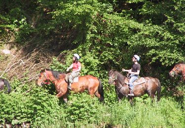 Trail Equestrian Bouillon - Frahan ferme pour enfants vers Le Jockey Anloy - Photo
