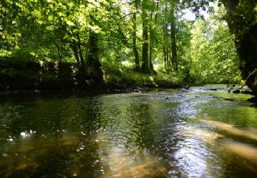 Trail Walking Chimay - Bois de Blaimont - Circuit Natura 2000, des sites qui valent le détour - Ht3 - Photo